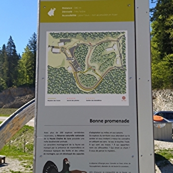 Sentier thématique : mystère des traces - MIJOUX