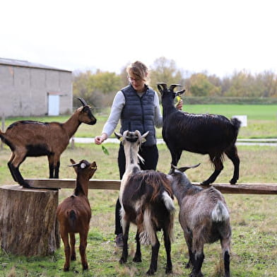 Domaine Roger Pabiot 