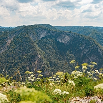 Les Grès de Septmoncel  - SEPTMONCEL LES MOLUNES