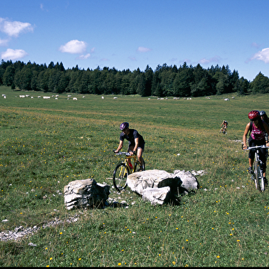 Parcours VTTAE 58 rouge - L'intégrale du Poizat - Espace FFC Ain Forestière
