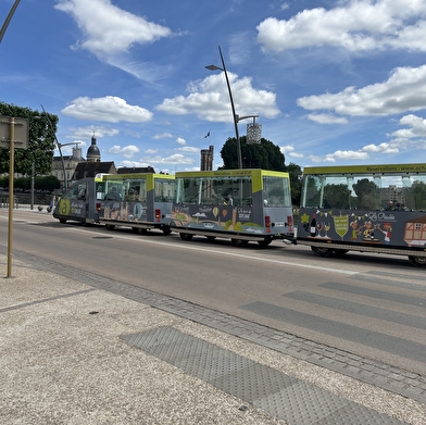 Le Tacot de Chalon : petit train touristique