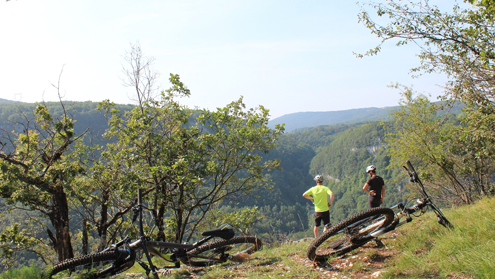 Parcours VTT 52 bleu - Les Crêtes de Charabotte - Espace FFC Ain Forestière