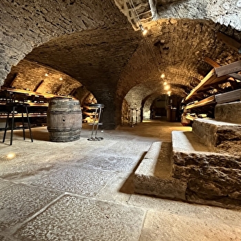 Exposition 'Les Forêts en Souffrance' & Dégustation de vins - BEAUNE