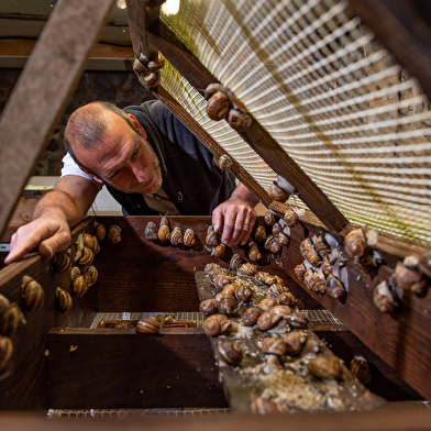 Les Coulisses du Terroir - Grosnescargot