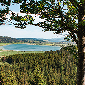 Belvédère des deux Lacs - BREY-ET-MAISON-DU-BOIS