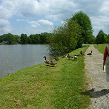  Découvrir Toucy en famille - TOUCY