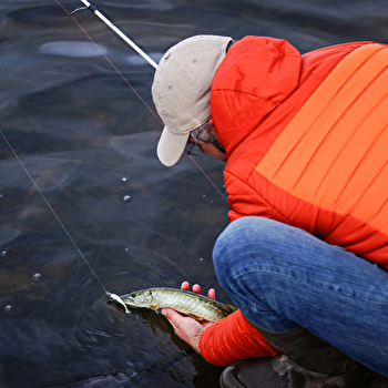 Le parcours sauvage - LA CELLE-EN-MORVAN