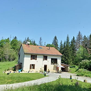 Au Goulet - location dans maison - P812PAG00 - PREMANON