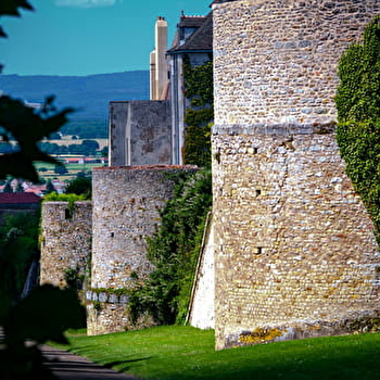 Visite guidée 'Augustodunum « soror et aemula Romae »' - AUTUN