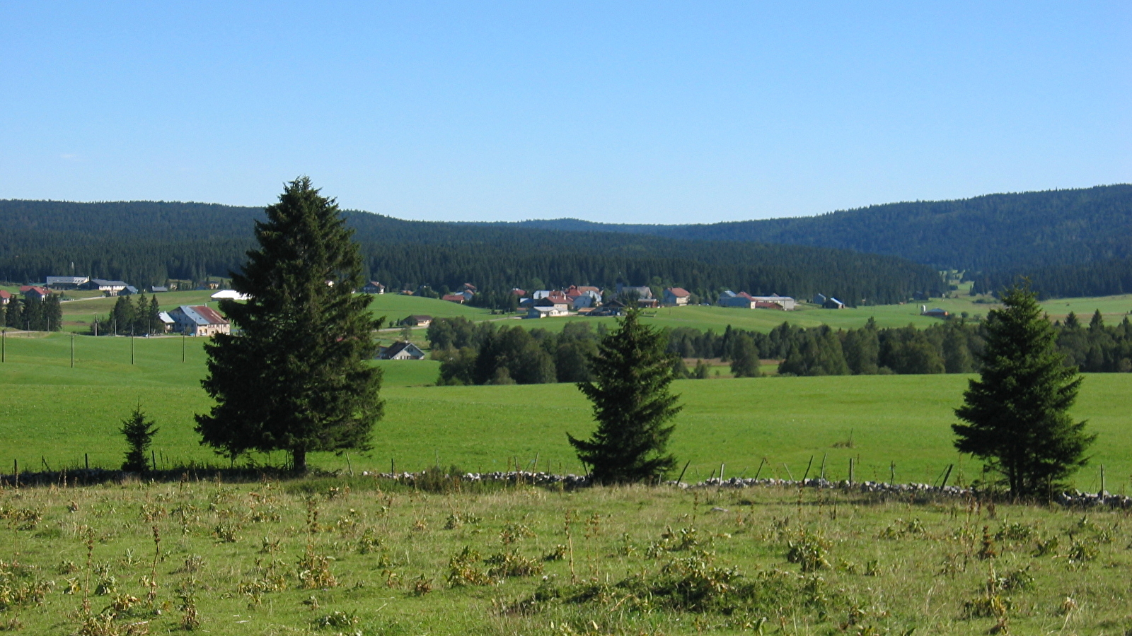 Chez Michel ou la Tourbière