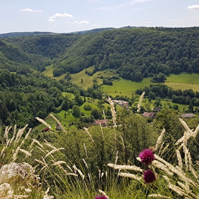 La Haute Roche - 11R