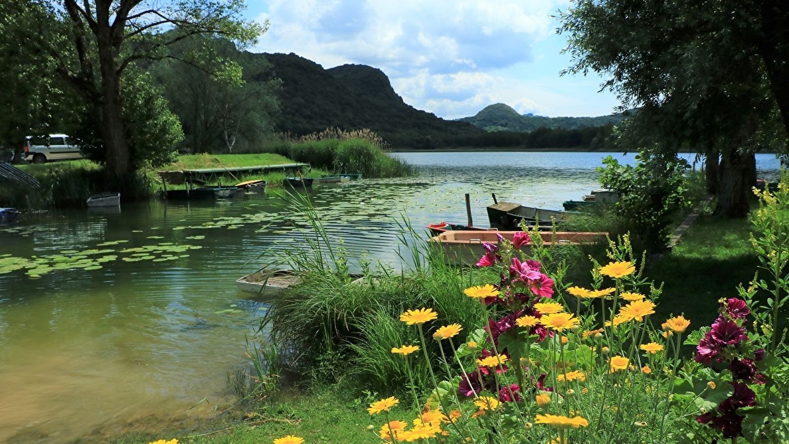 Circuit vélo : Marais de Lavours et vignobles du Bugey