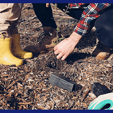 Les mains dans le jardin
