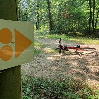 Liaison VTT-VTC (L) entre Bresse et Revermont