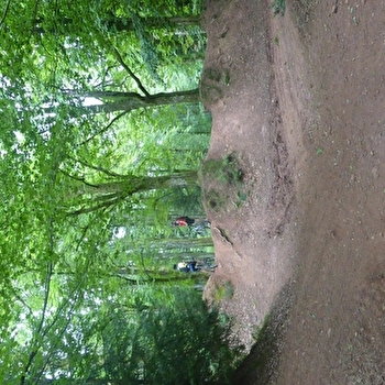 Tour du Salbert - CRAVANCHE