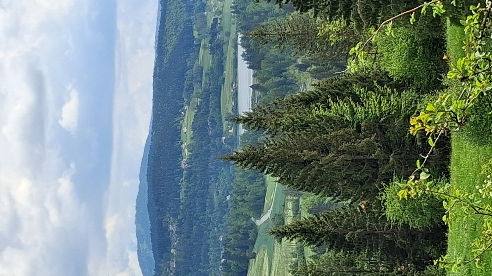 Les Granges-Dessus - n° 81