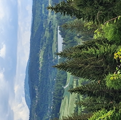 Les Granges-Dessus - n°81