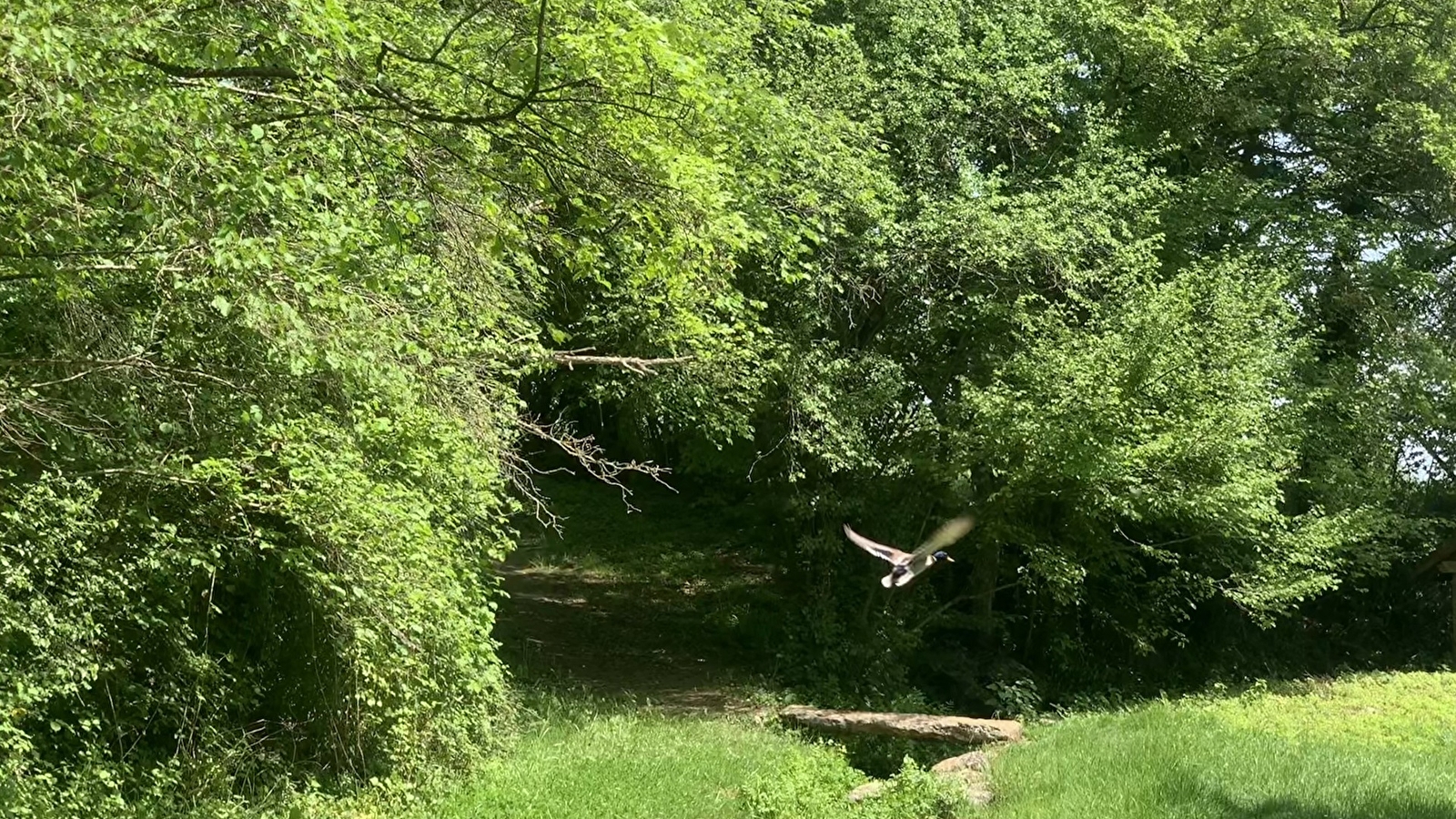 Aire de pique-nique de la source