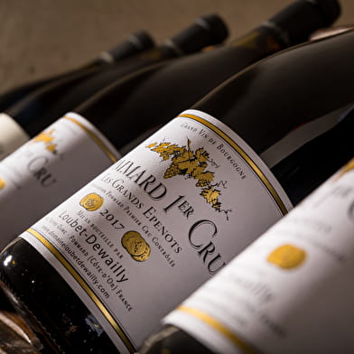 Domaine Loubet-Dewailly - Vente des Vins 2025 : Dégustation Horizontale 'Découverte' : Pinot noir de la Côte de Beaune 2024