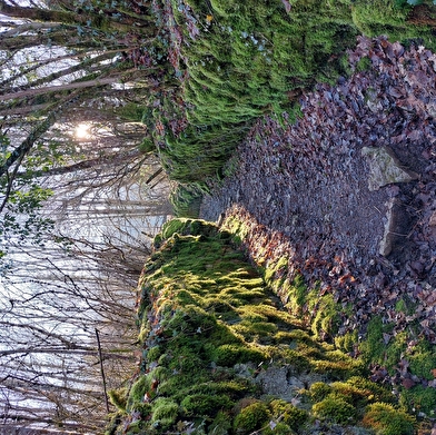 Belvedere de l'Ermitage