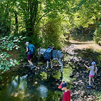 Bougres d'Anes - MELAY