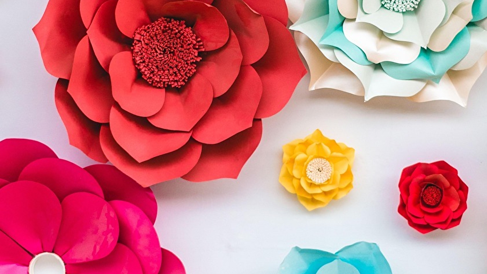 Botaniste en herbe - Atelier pour les 4-6 ans.