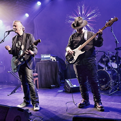 Concerts dégustation de Three Birds Whisper