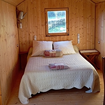 La nuit boisée - SAINT-AMAND-EN-PUISAYE