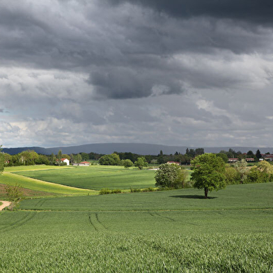 Circuit VTT-VTC n°2 (bleu) - Grand tour des lacs
