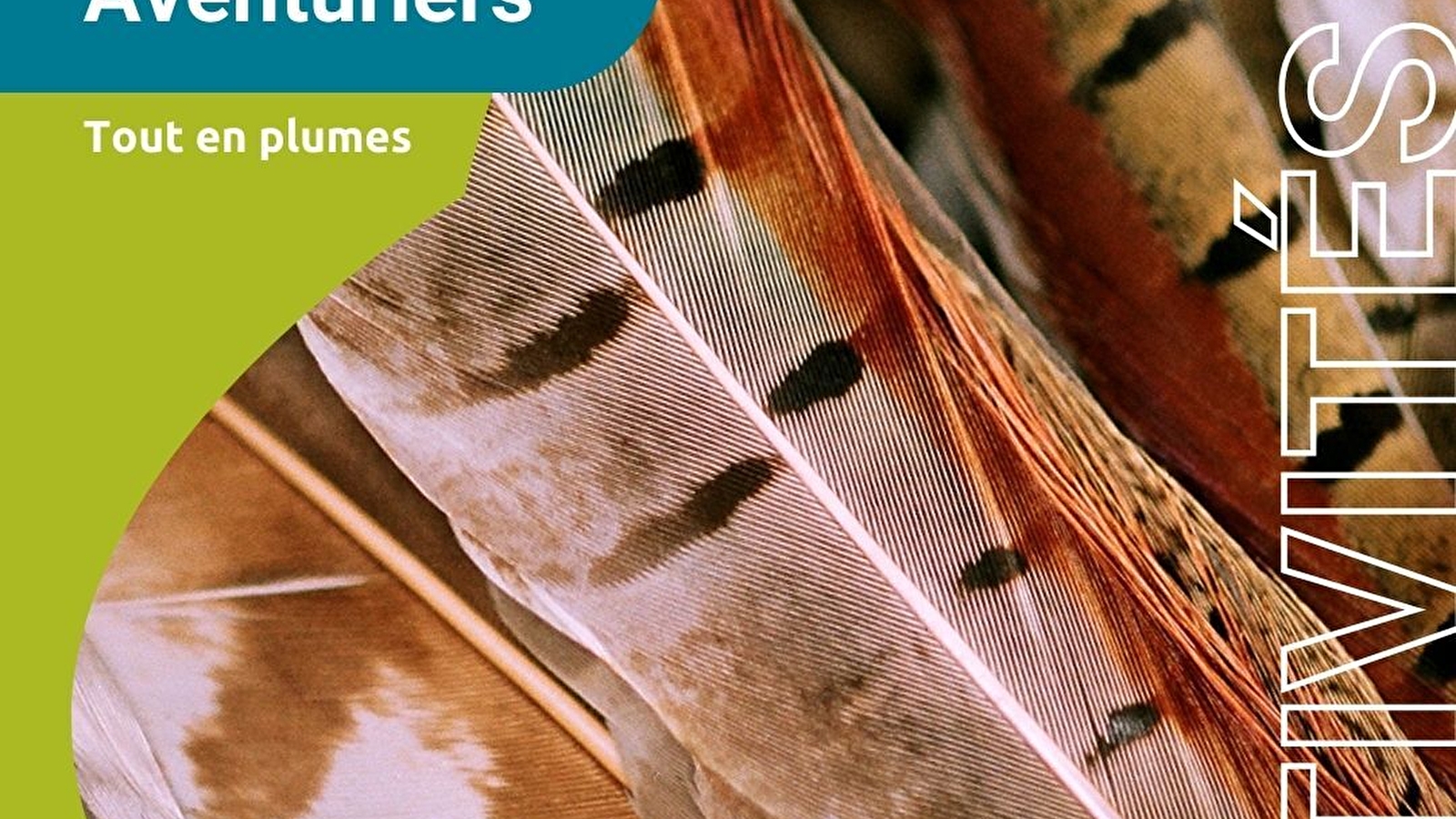 Les tout-petits aventuriers - matinée pour les moins de 6 ans - spéciale 'Tout en plumes'