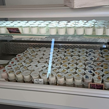 Bar à Lait - GAEC Elevage Galoche - CHATENOY-LE-ROYAL