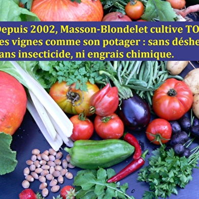 Domaine Masson Blondelet