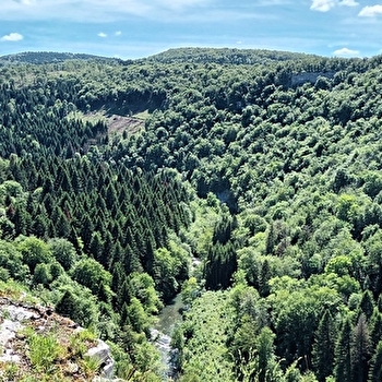 Les Chandeliers - ETERNOZ-VALLEE-DU-LISON