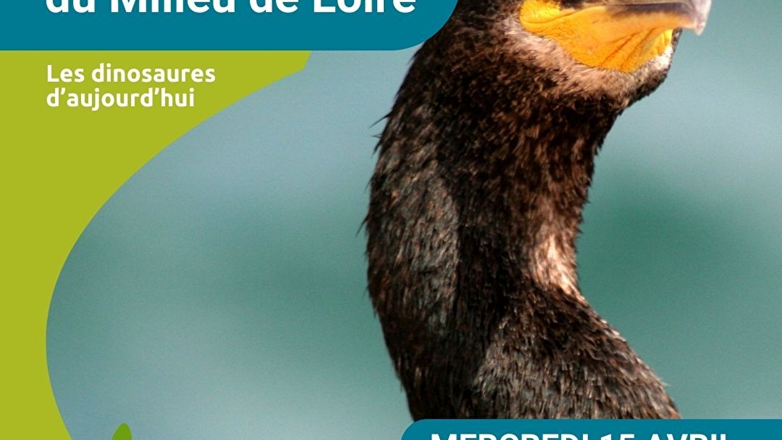 Les Aventuriers du Milieu de Loire - Journée nature pour les 6-12 ans spéciale 'Les dinosaures d'aujourd'hui'