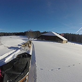 Les Attelages de la Roche Percée - Hiver - PIERREFONTAINE-LES-VARANS