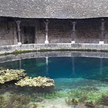 Visite et dégustation - TONNERRE