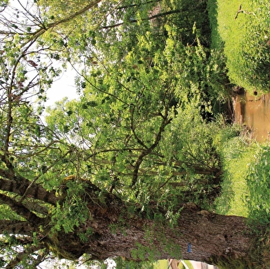 Le sentier patrimoine 