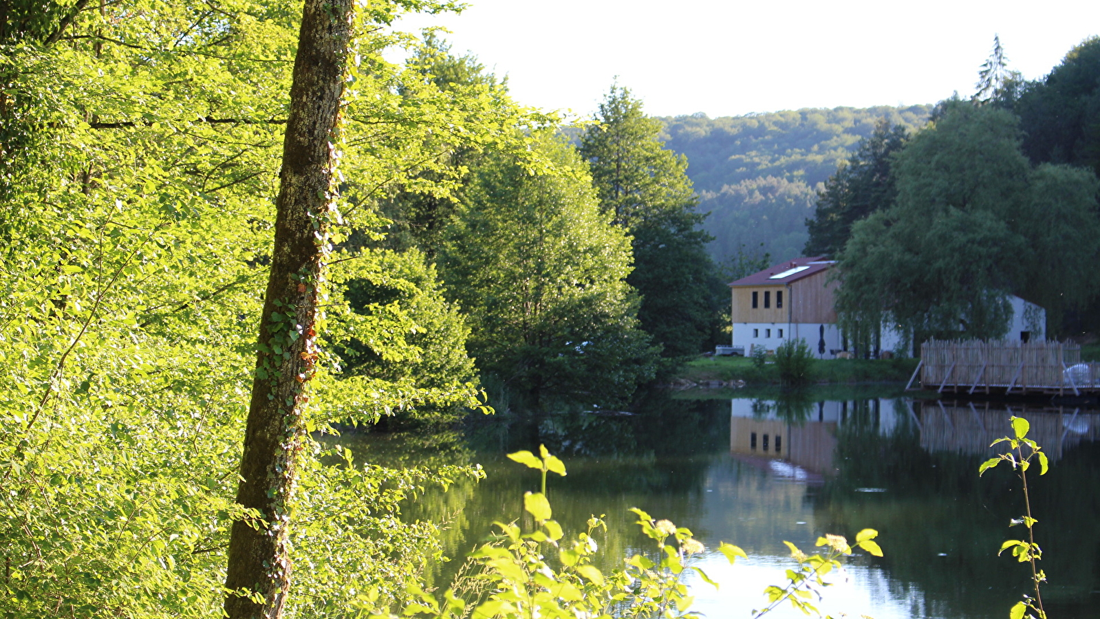 Domaine de la Combe Rossignol