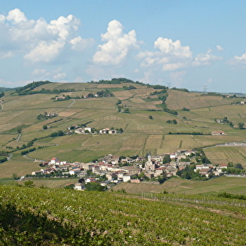 Circuit de la Montagne de Remont - JULIENAS