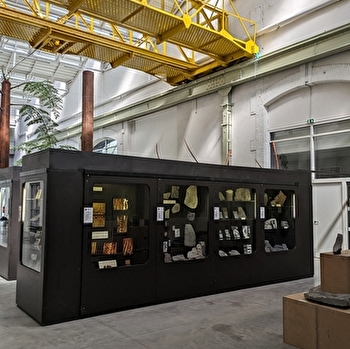 Paléorama - MONTCEAU-LES-MINES