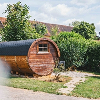 Tonneau en bois insolite  - BARON