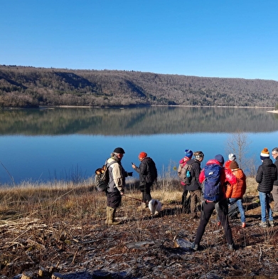 Rando dans les milieux humides - Orgelet