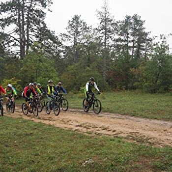 Parcours du Bois des Tilles - IS-SUR-TILLE