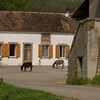Chambre d'hôtes des Robineaux - DOMATS