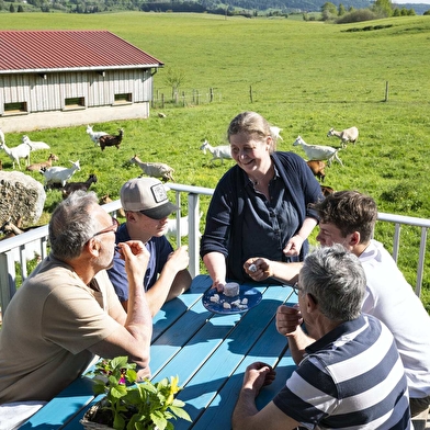 Visite de la ferme de la fruitière