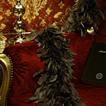 Chambres d'hôtes de charme 'Les Folies d'Hélène' - MAILLY