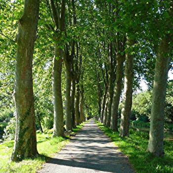 Circuit randonnée : La Nove - PONT-DE-VAUX