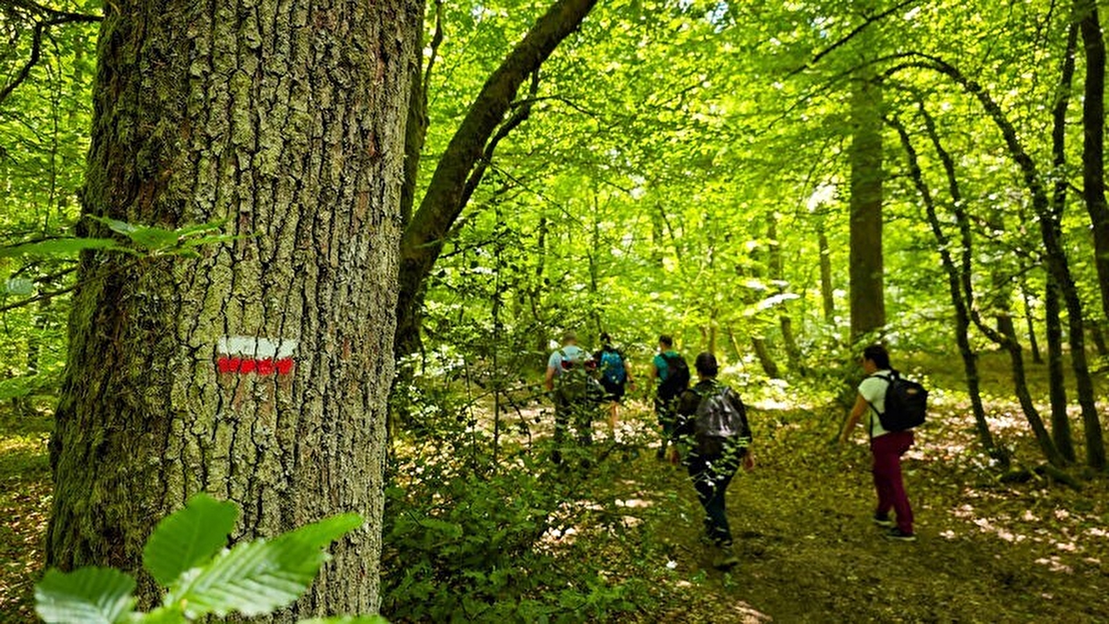 Les sentiers de Grande Randonnée et GR de Pays