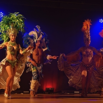 Les Platanes - CRECHES-SUR-SAONE