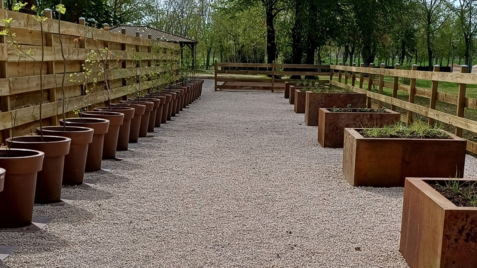 Visite du pollinarium sentinelle